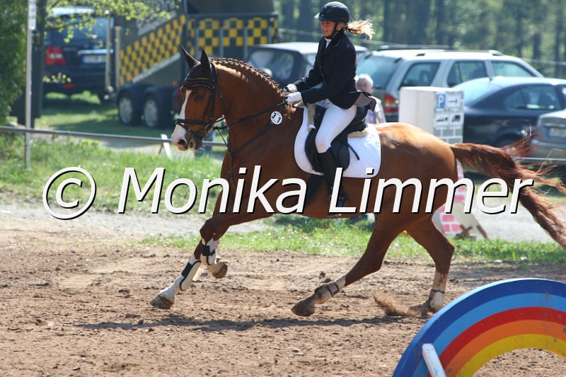 204M2459_Condor_Stil E.JPG